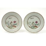 pair of 18th Cent. Chinese plates in porcelain with a 'Famille Rose' garden decor || Paar achttiende