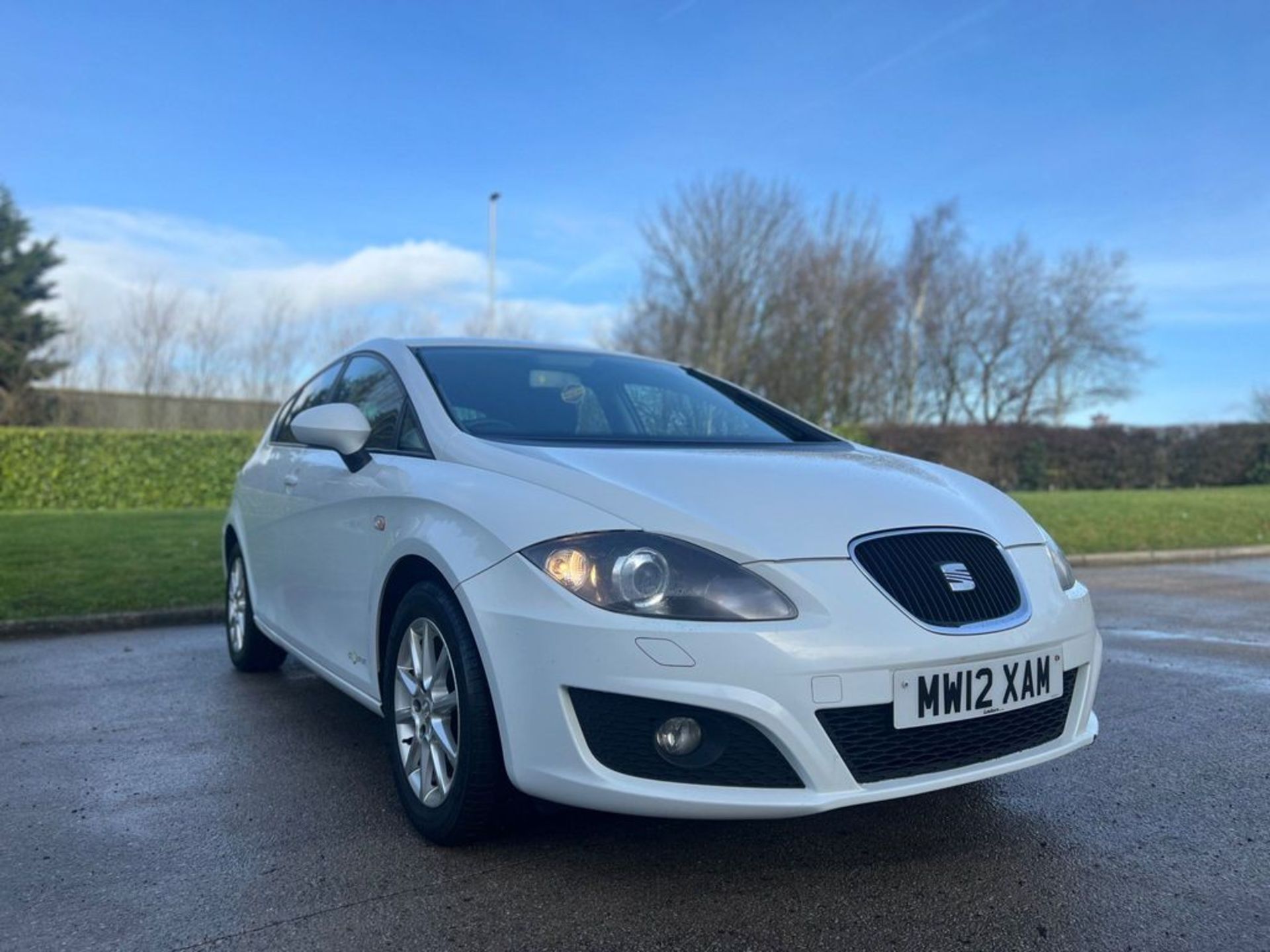 SEAT LEON 1.6 TDI ECOMOTIVE CR SE COPA EURO 5 (S/S) 5DR