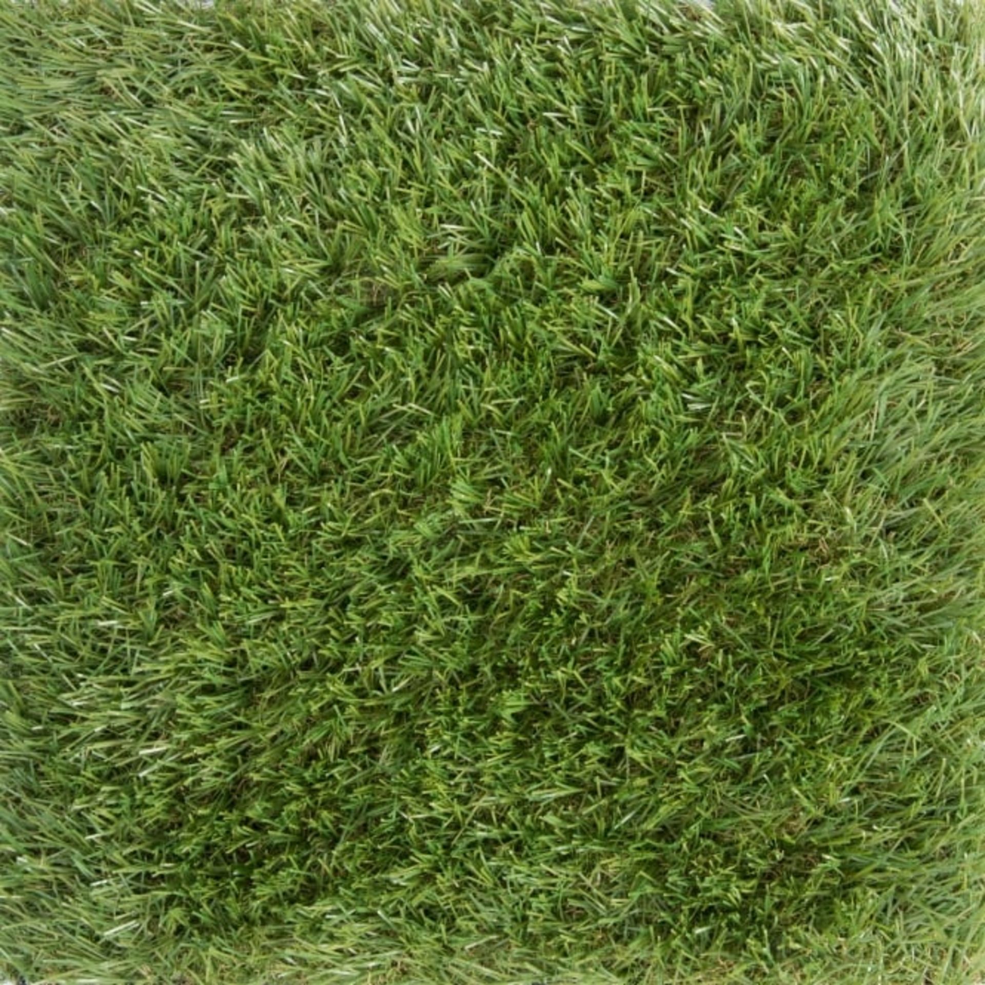 40MM ARTIFICIAL GRASS 2X25MTR (50SQM)