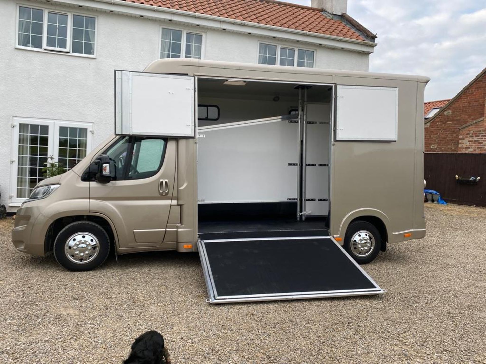 BRAND NEW 2023 BUILD 3.5TON 66 PLATE REGENT HORSEBOX ON A CITROEN RELAY CHASSIS - Image 2 of 13