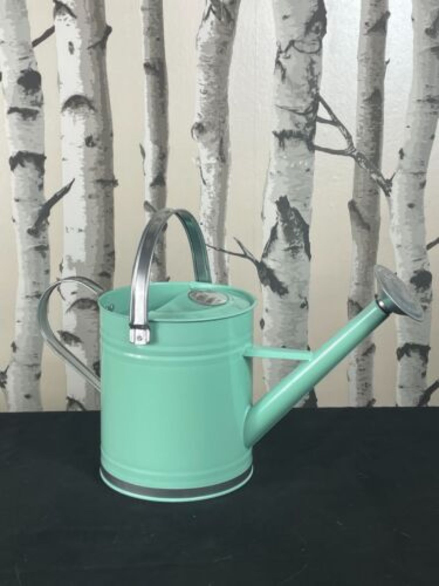 SUMMER AUCTION NEW WATERING CANS,LIGHTS,LANTERNS PLUS MORE! - Image 6 of 11