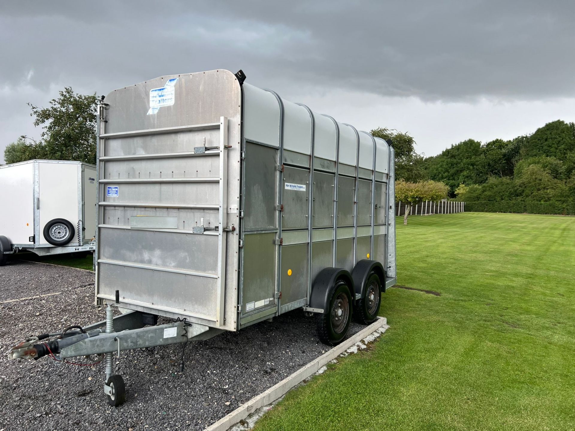 IFOR WILLIAMS 7FT HIGH CATTLE HORSE TRAILER - Image 4 of 11