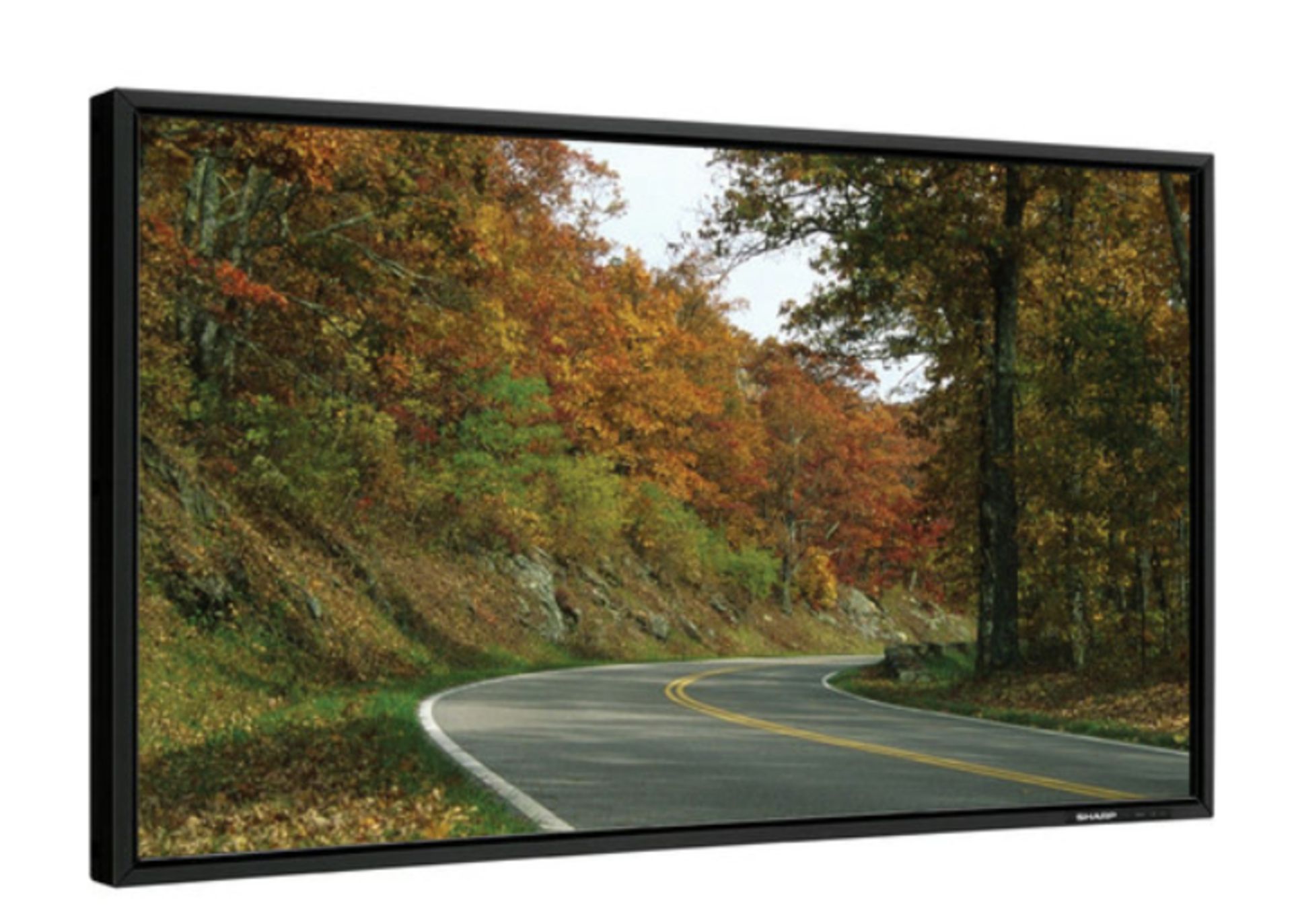 SHARP PN-E601 60" 1080P FULL COLOR LCD COMMERCIAL MONITOR
