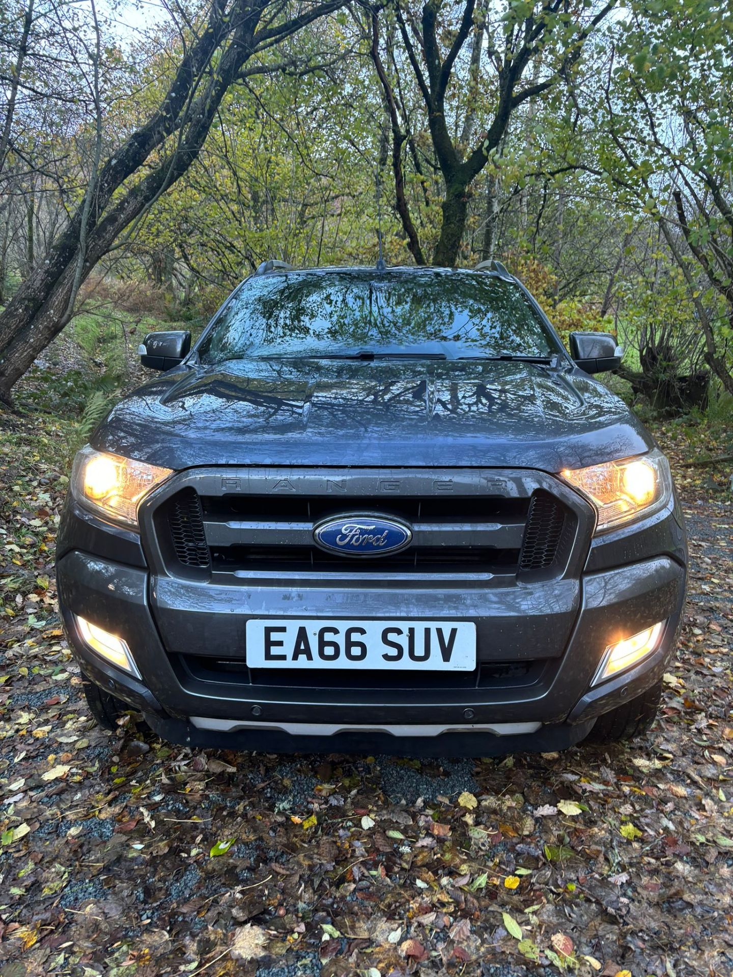 FORD RANGER WILDTRAK 3.2 AUTOMATIC PICKUP TRUCK DOUBLE CAB - Image 4 of 12