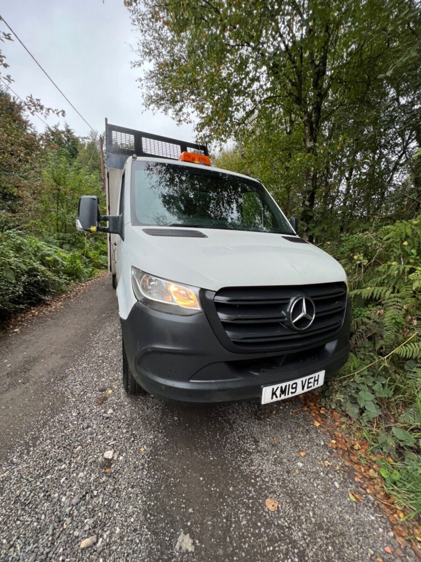 2019 MERCEDES SPRINTER TIPPER SINGEL CAB V5 - Image 12 of 15