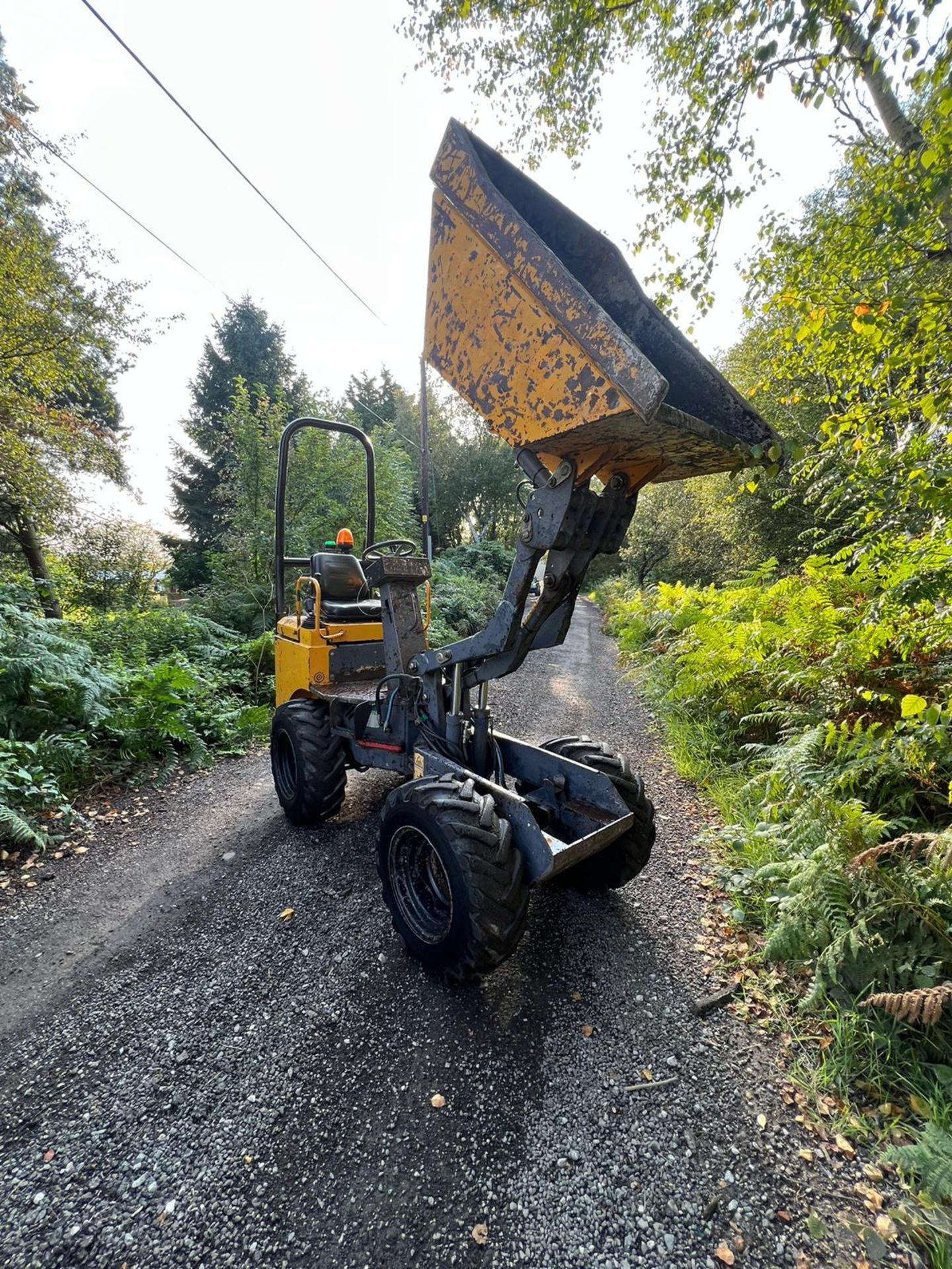 TEREX HIGH TIP 1 TON DUMPER - Image 13 of 15