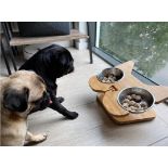 8 X NIBBLEYPETS ELEVATED PET DOG BOWL FEEDER RRP £856 PET SHOPS BREEDERS FRENCHIES BULLYS