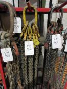 4 Leg lifting chain, with shorteners NB: This item has no record of Thorough Examination. The