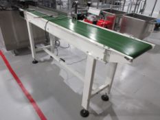 Advanced Automated System power belt flat bed conveyor, serial no. 3665 (2014), approx. belt size: