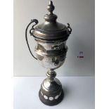 The British Inter-County Knock Out Cup Ladies Champions Trophy