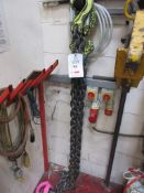 Lift chain and hoist, 14 tonne NB: This item has no record of Thorough Examination. The purchaser
