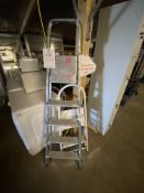 Two step ladders (1 x 2-step, 1 x 4-step)