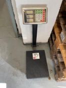 TCS System Electronic 100KGS platform scales