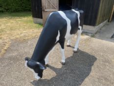 Resin cow, 215cm length x 60cm width x 130cm height (approx sizes)