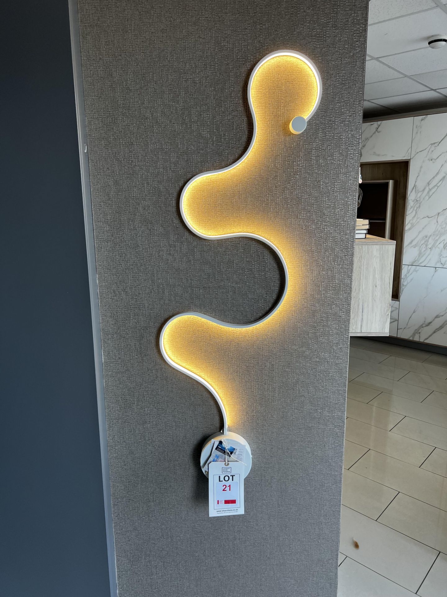 Wall mounted 'snake' light