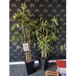 Two Bamboo plants (fake)