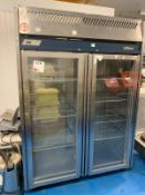 Williams HG2T Garnet upright double door freezer