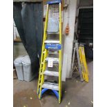 Two Werner step ladders, 1 x 6 tread, 1 x 4 tread