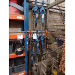 Ten various lever hoists