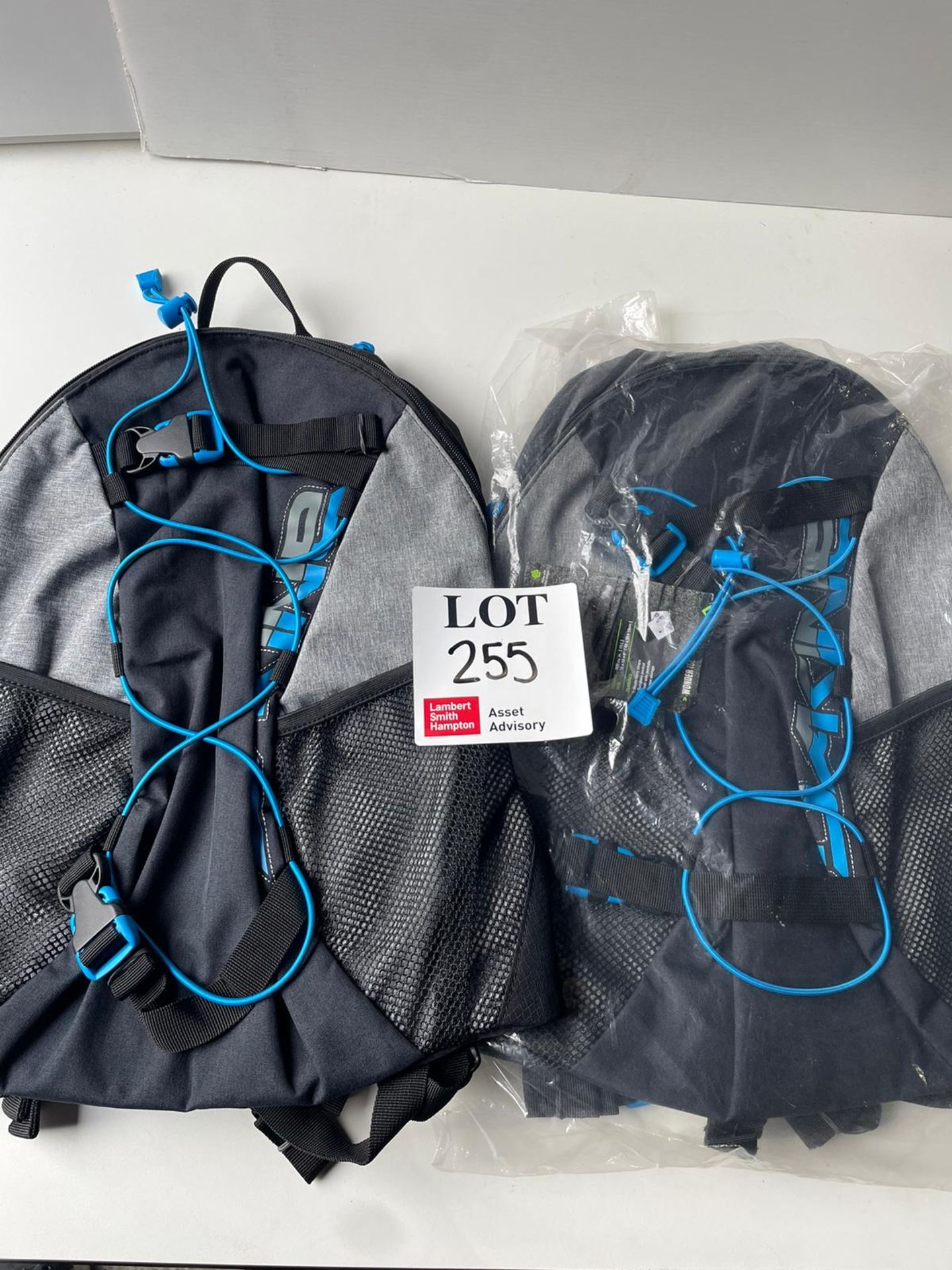 Two Dakine backpacks and cool bag