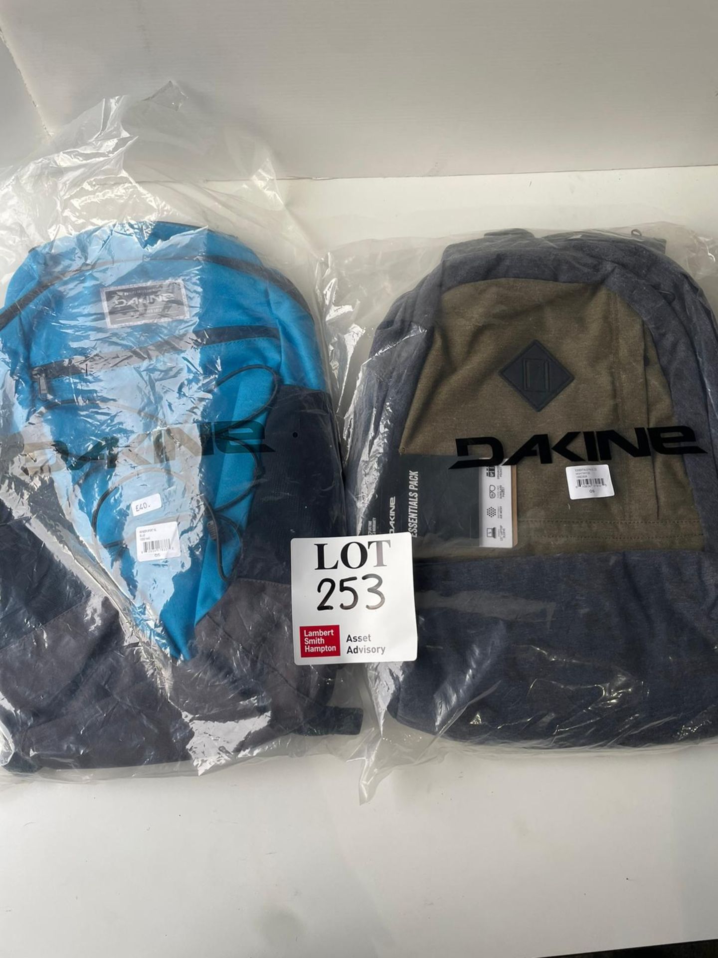 Two Dakine backpacks and cool bag