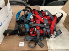 A Qty of Safety Harnesses