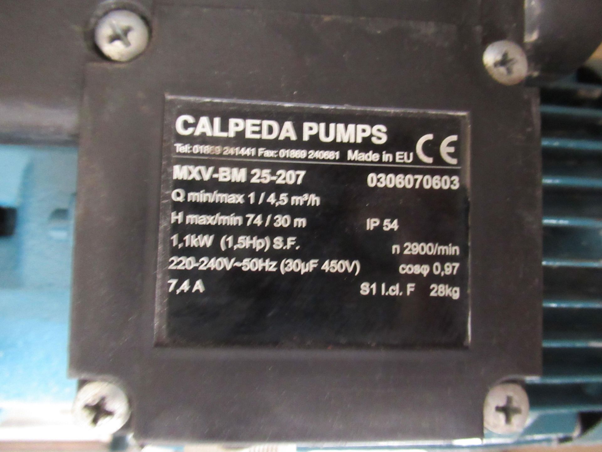 Calpeda Feed Pump with an Almatec Backflush Pump - Image 3 of 5