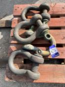 x4 25 Ton D Shackles