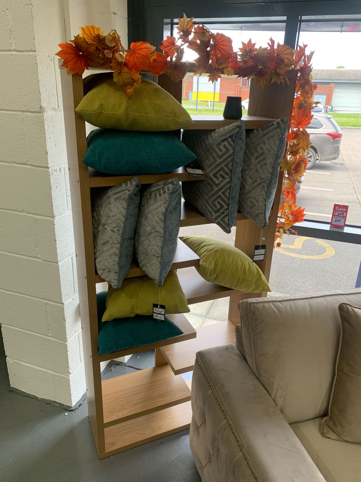 Bookcase and Assorted Cushions