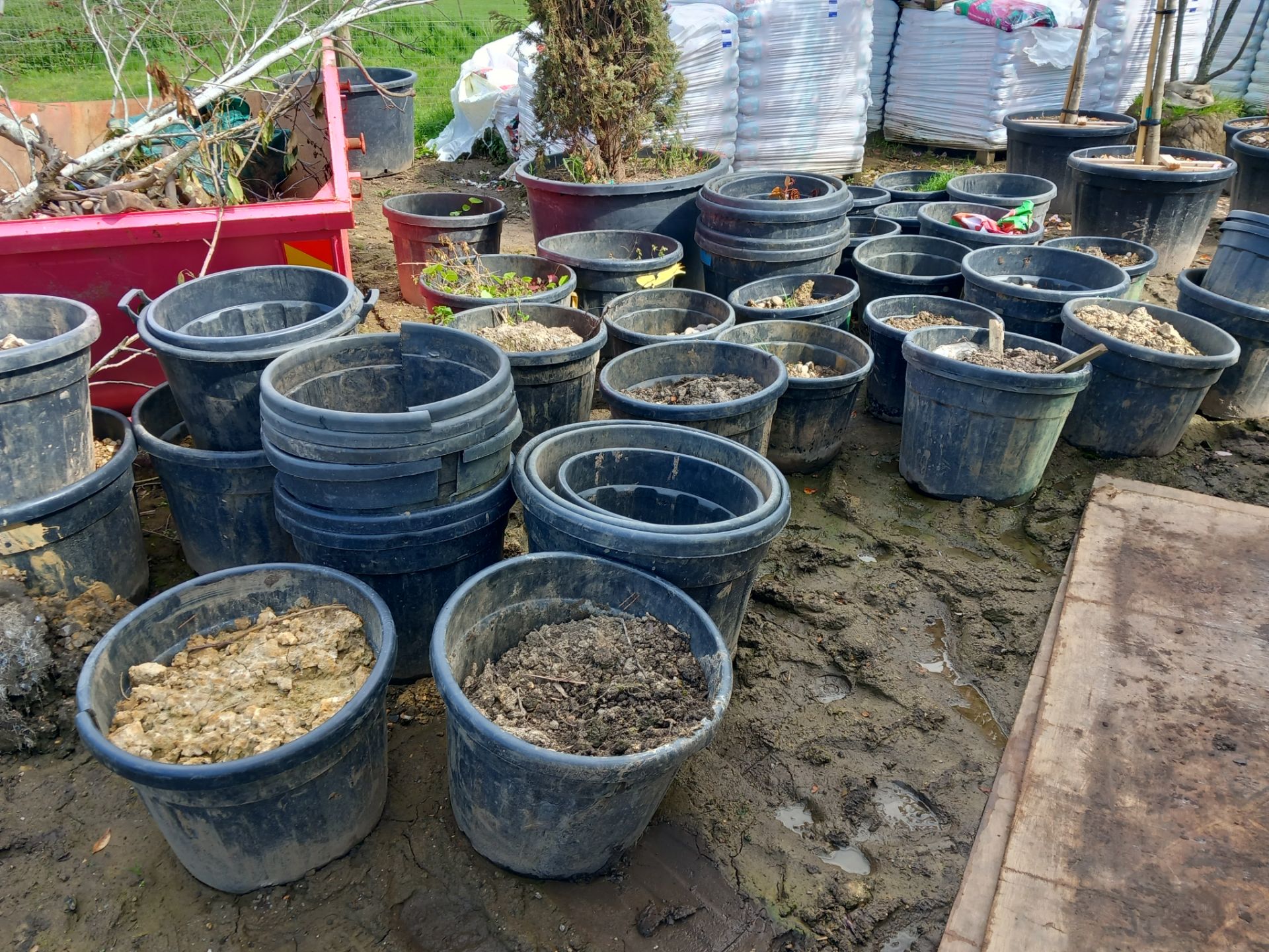 Large quantity of used plant pots, various sizes ( - Image 2 of 5