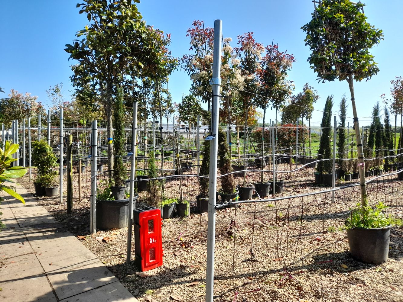 Bespoke Garden Nursery Water Irrigation Line (Further lots to be added)