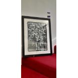 Black & White Photo Print Wooden Frame 53x69cm Pri