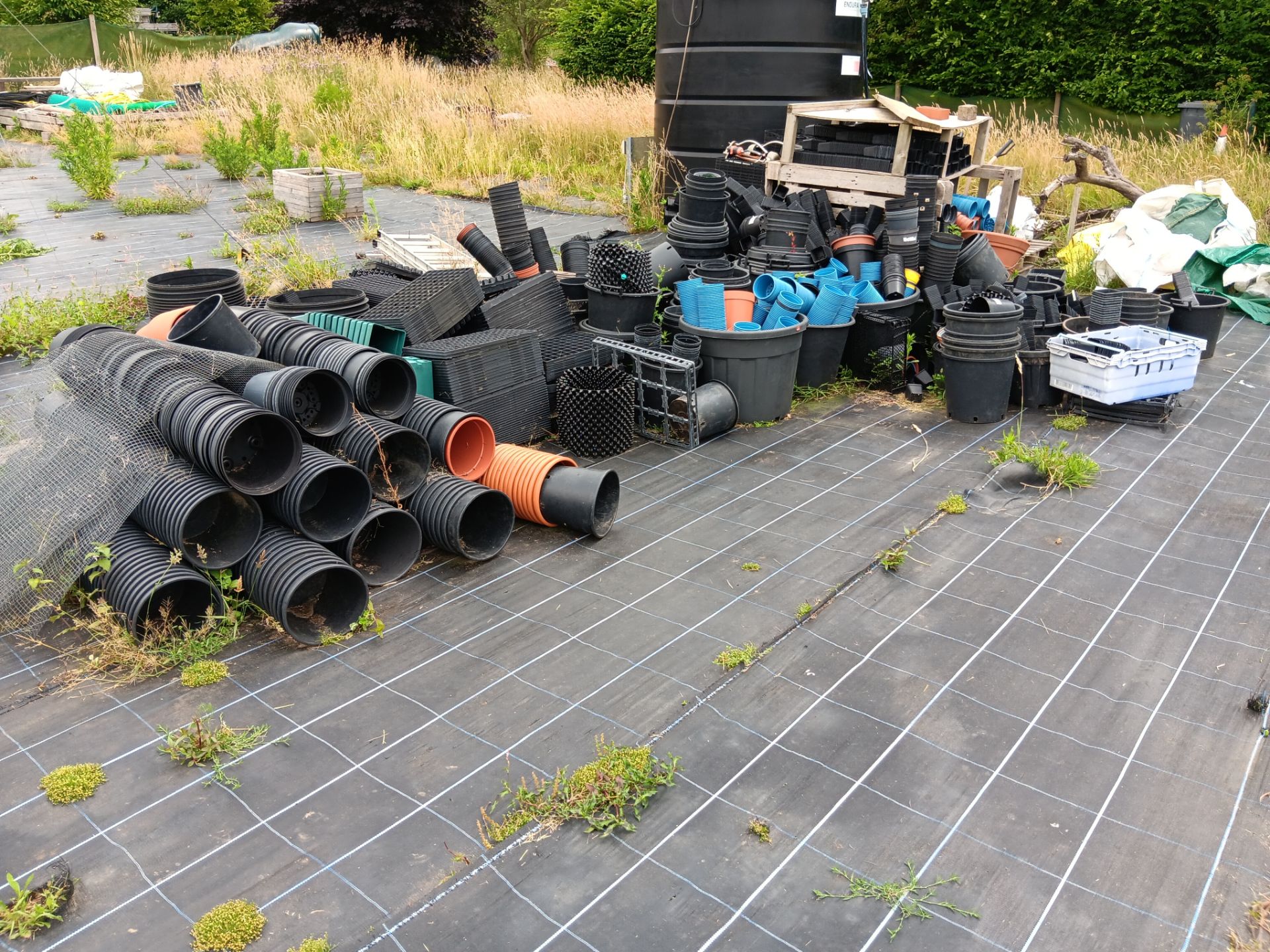 Large qty of plastic plant pots and seed trays - Image 2 of 4