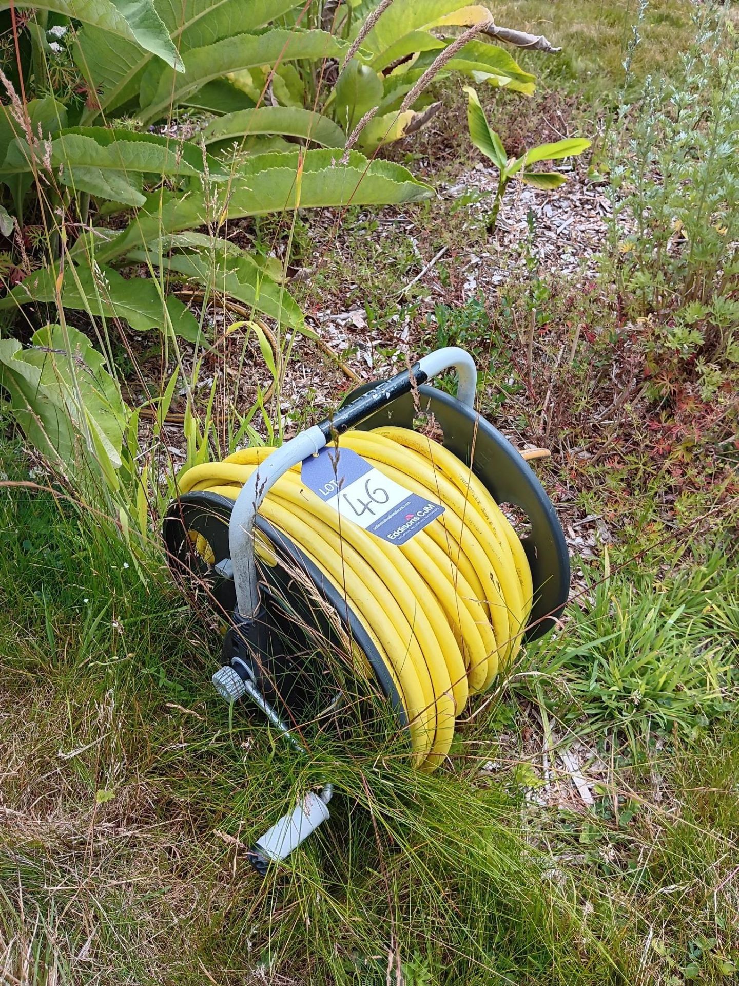 Portable hose reel and cart