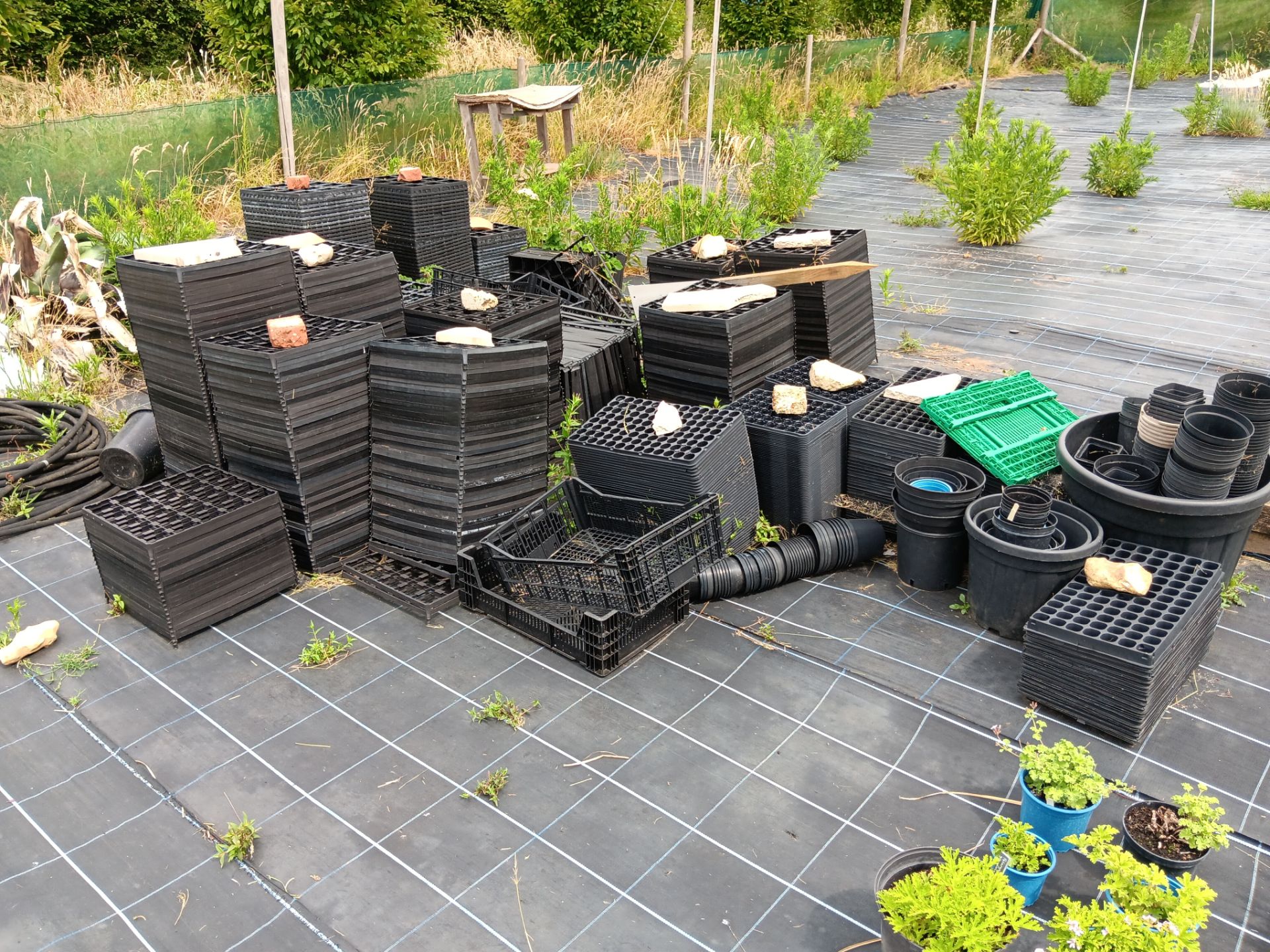 Large qty of plastic plant pots and seed trays - Image 3 of 4