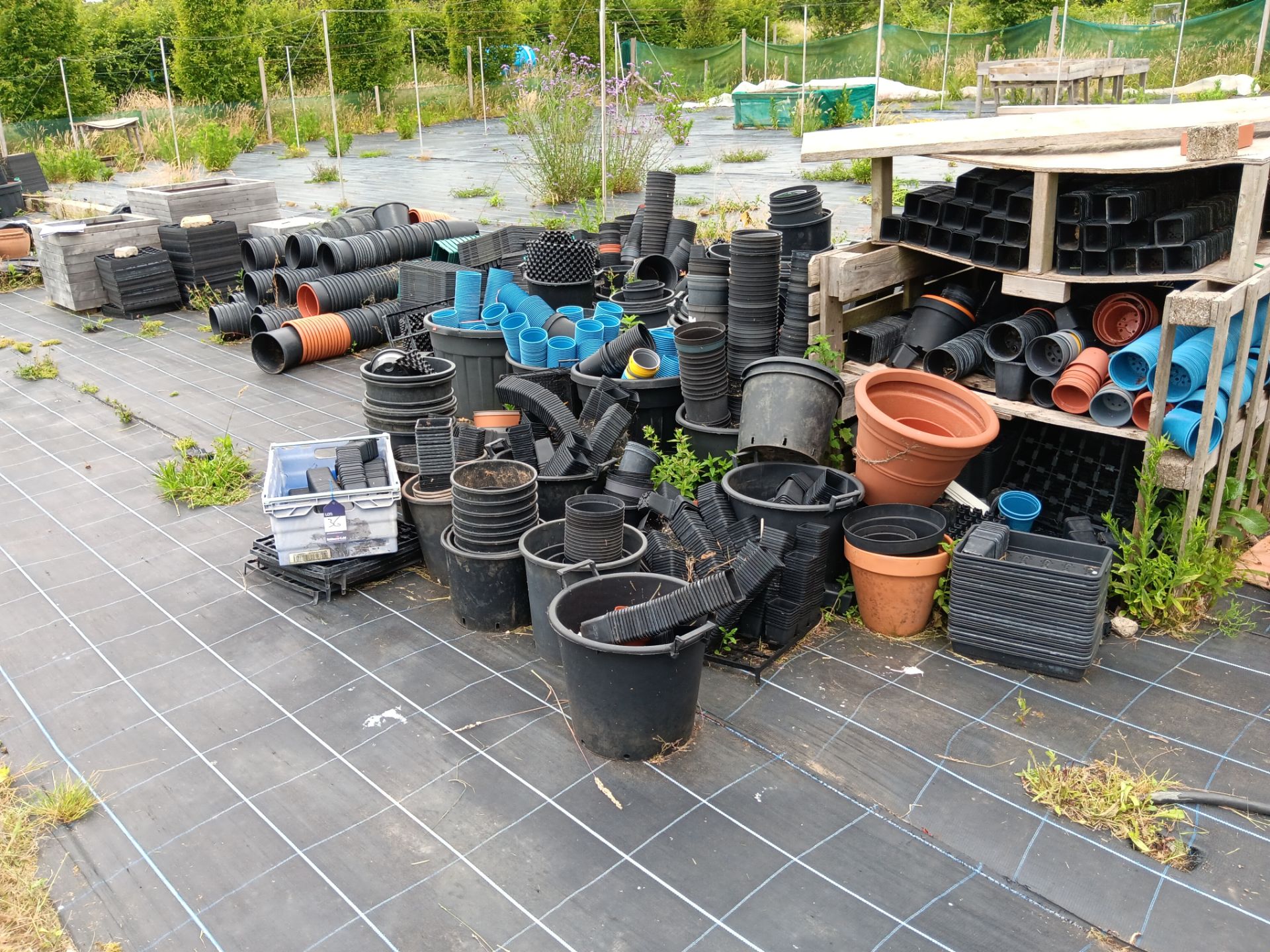 Large qty of plastic plant pots and seed trays