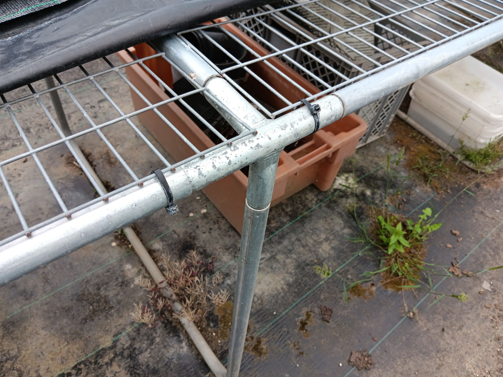 galvanised steel modular mesh top green house tabling (approx. 18m) - Image 2 of 2