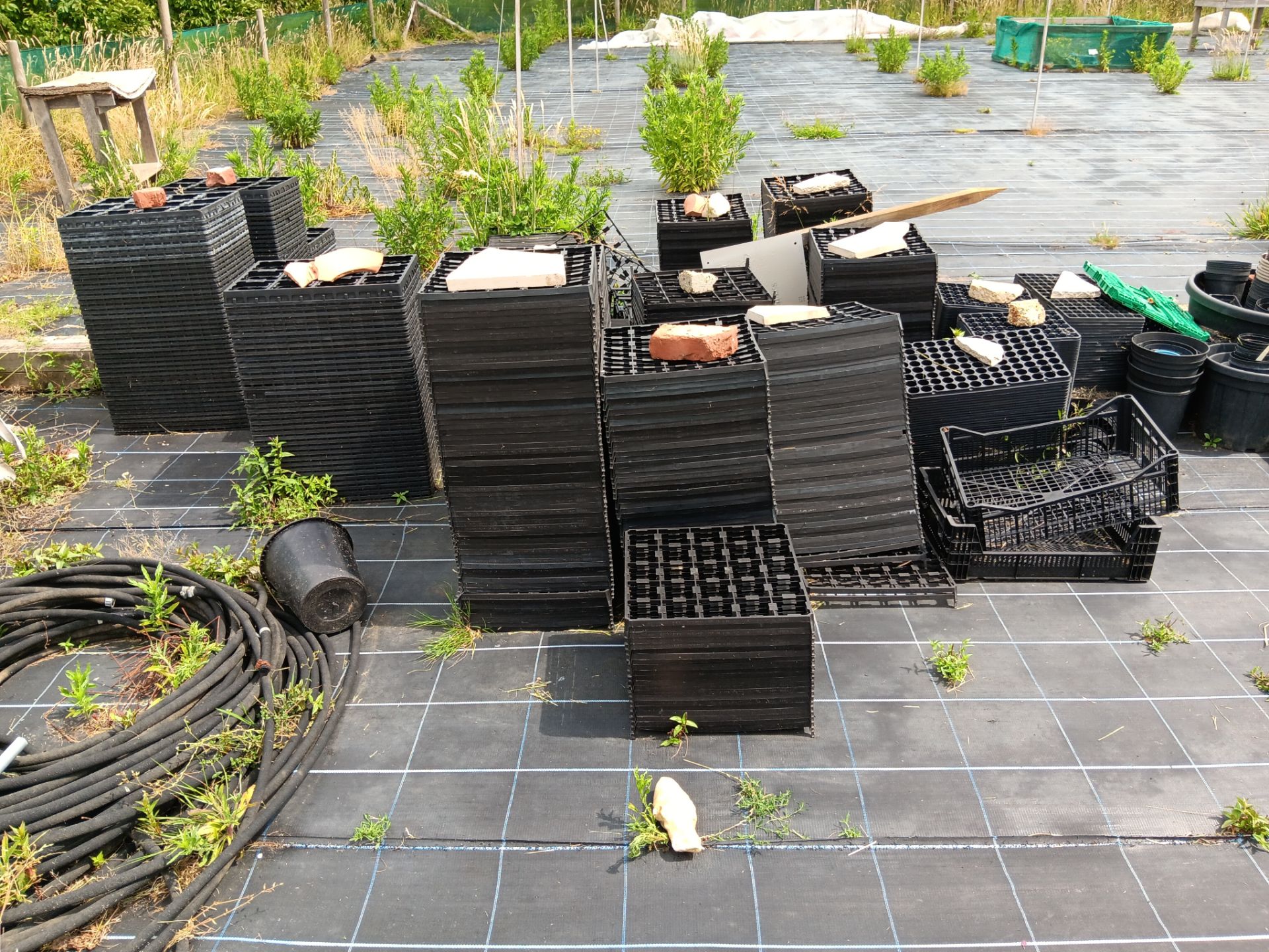 Large qty of plastic plant pots and seed trays - Image 4 of 4