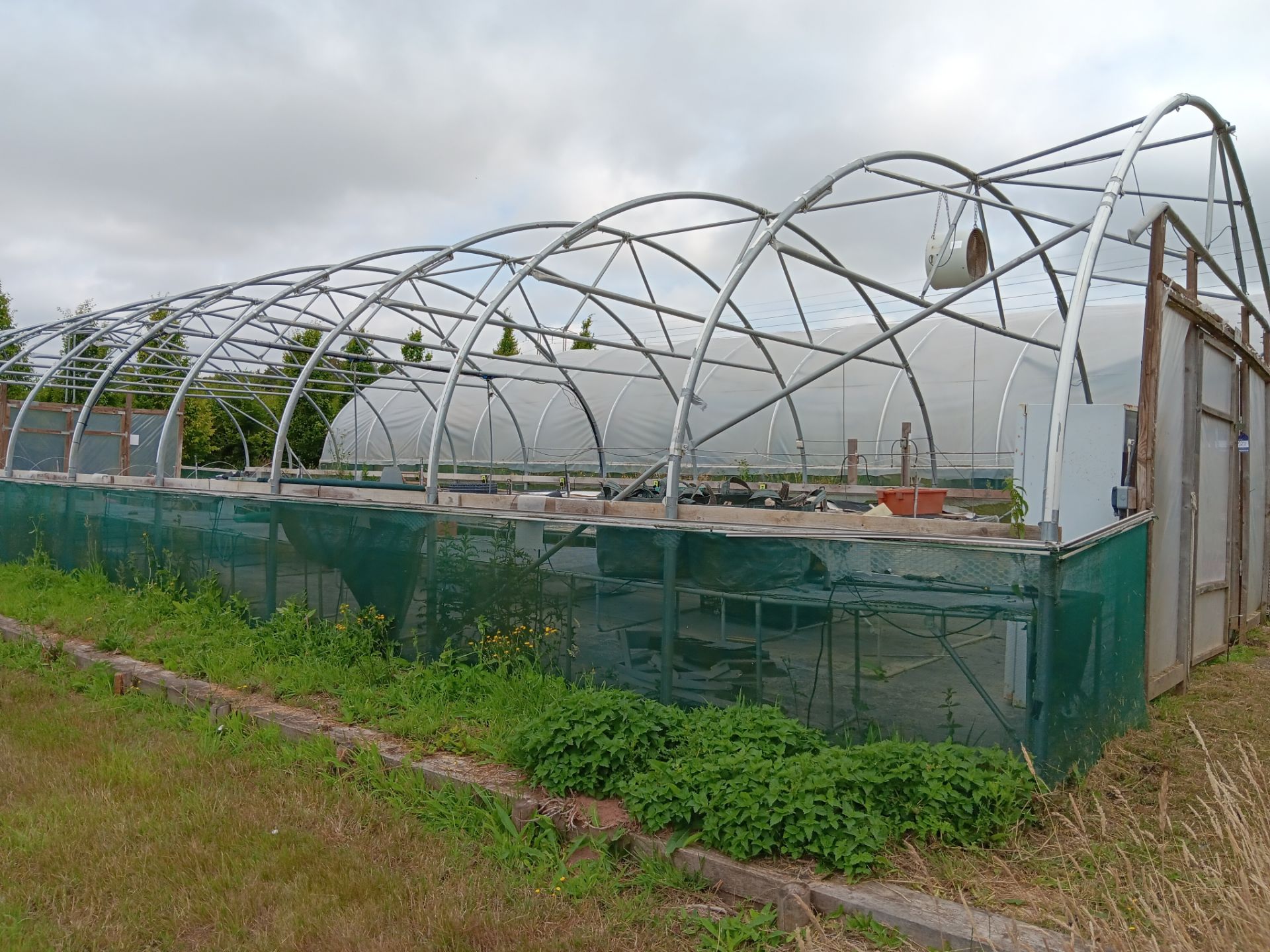 Galvanised steel framed poly tunnel, approx. 20 x 8m with fitted Wright Rain Macpenny mist control - Image 2 of 6