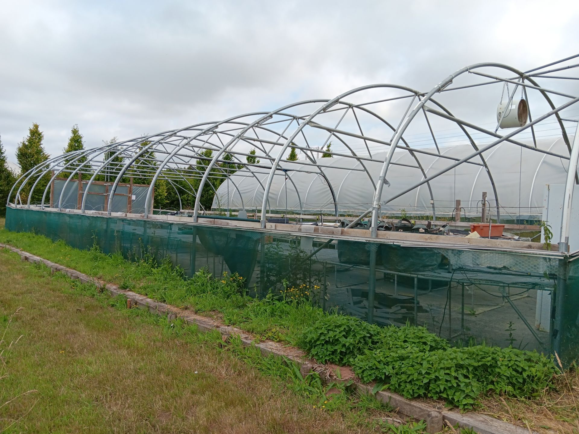 Galvanised steel framed poly tunnel, approx. 20 x 8m with fitted Wright Rain Macpenny mist control