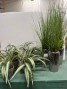 A Selection of Fake Plants and Foliage