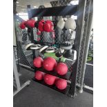 Storage Rack c/w Medicine Balls, Gloves and Pads together with Jordan Storage Trolley and Contents.