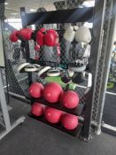 Storage Rack c/w Medicine Balls, Gloves and Pads together with Jordan Storage Trolley and Contents.