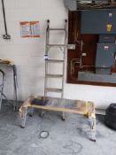 Aluminium twin section extension ladder and a Werner pro platform
