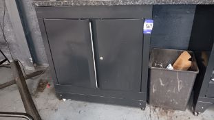 Steel double door cupboard (excludes contents)