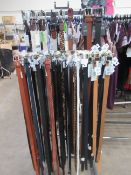 A Selection of Mens & Womens Belts