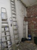 13 Stave double extension ladder