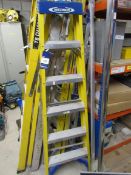 Werner 5 tread fibreglass step ladder