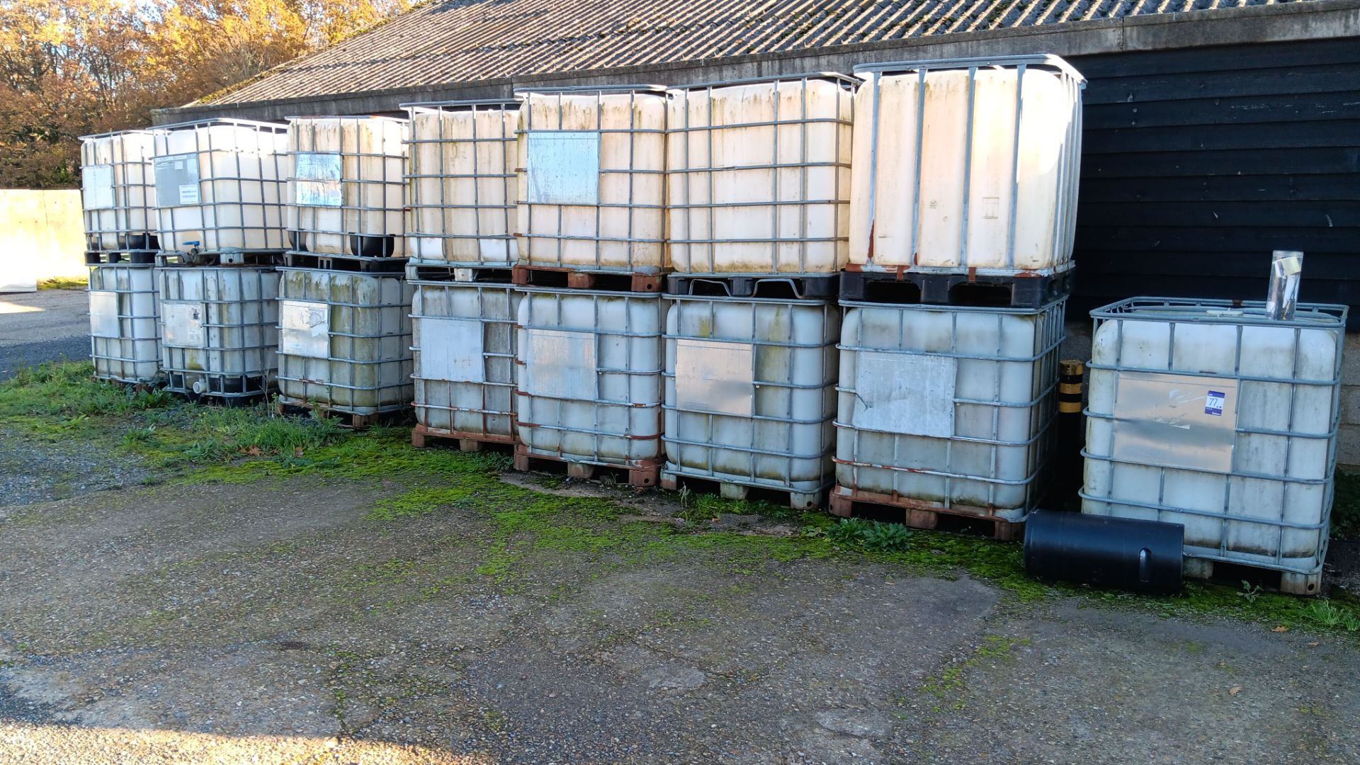 15 x 1000 Litre IBC’s