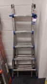 Multi purpose folding ladder